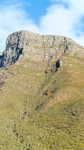 Bluff Knol, Stirling Range, WA.